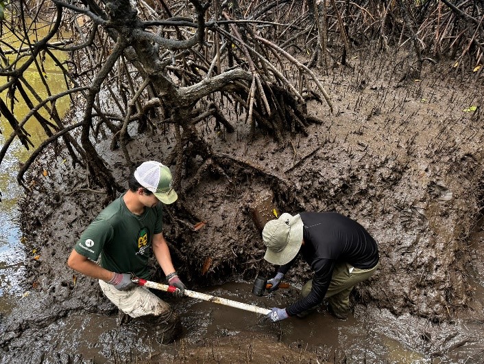 Field sampling and experiments.jpg